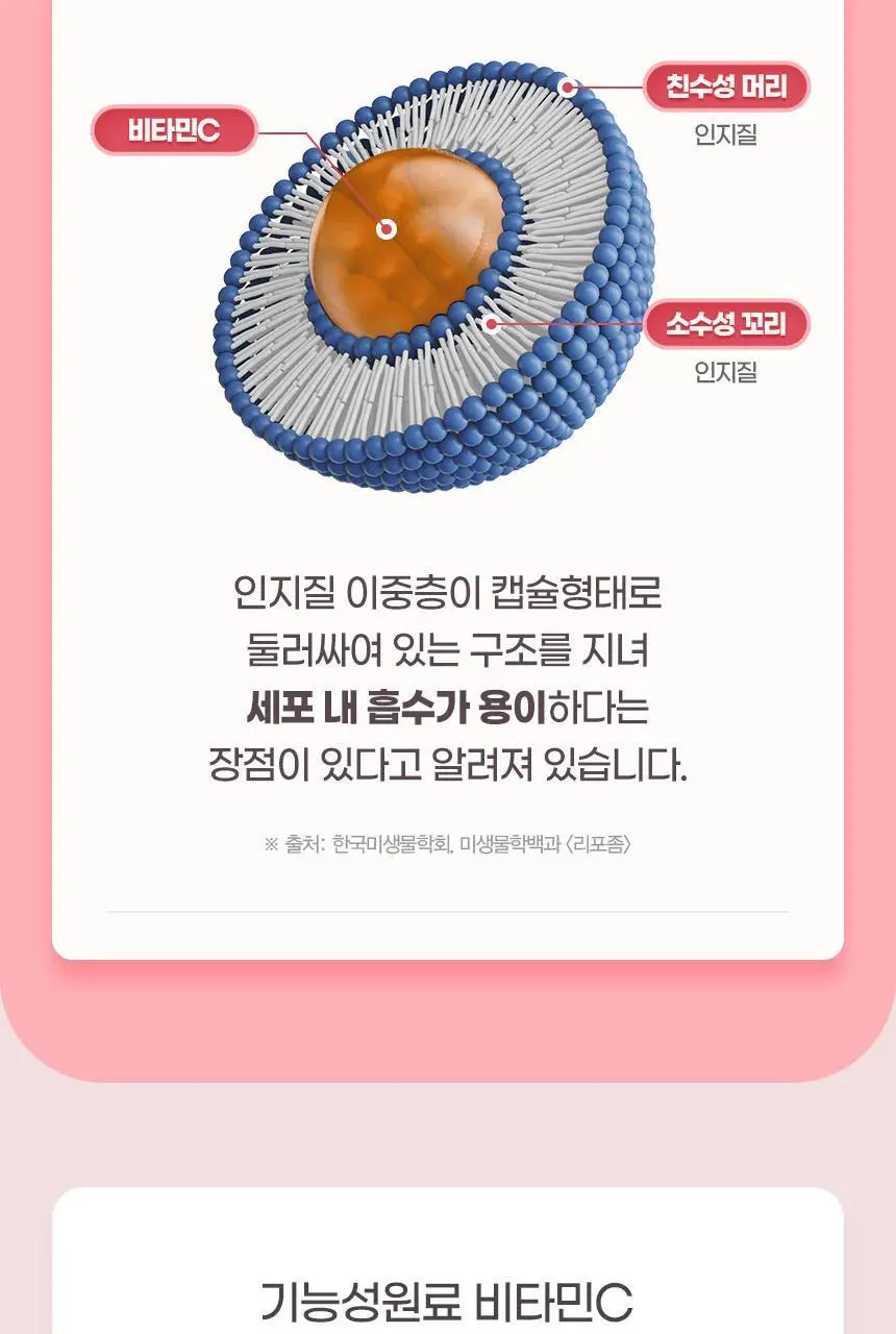 [이성경 PICK] GNM 프리미엄 리포좀 비타민C 30정 3박스(총 3개월분) 상세페이지 12